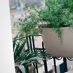 A casa di...